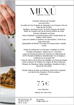 Menú 03