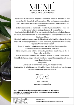 Menú 17