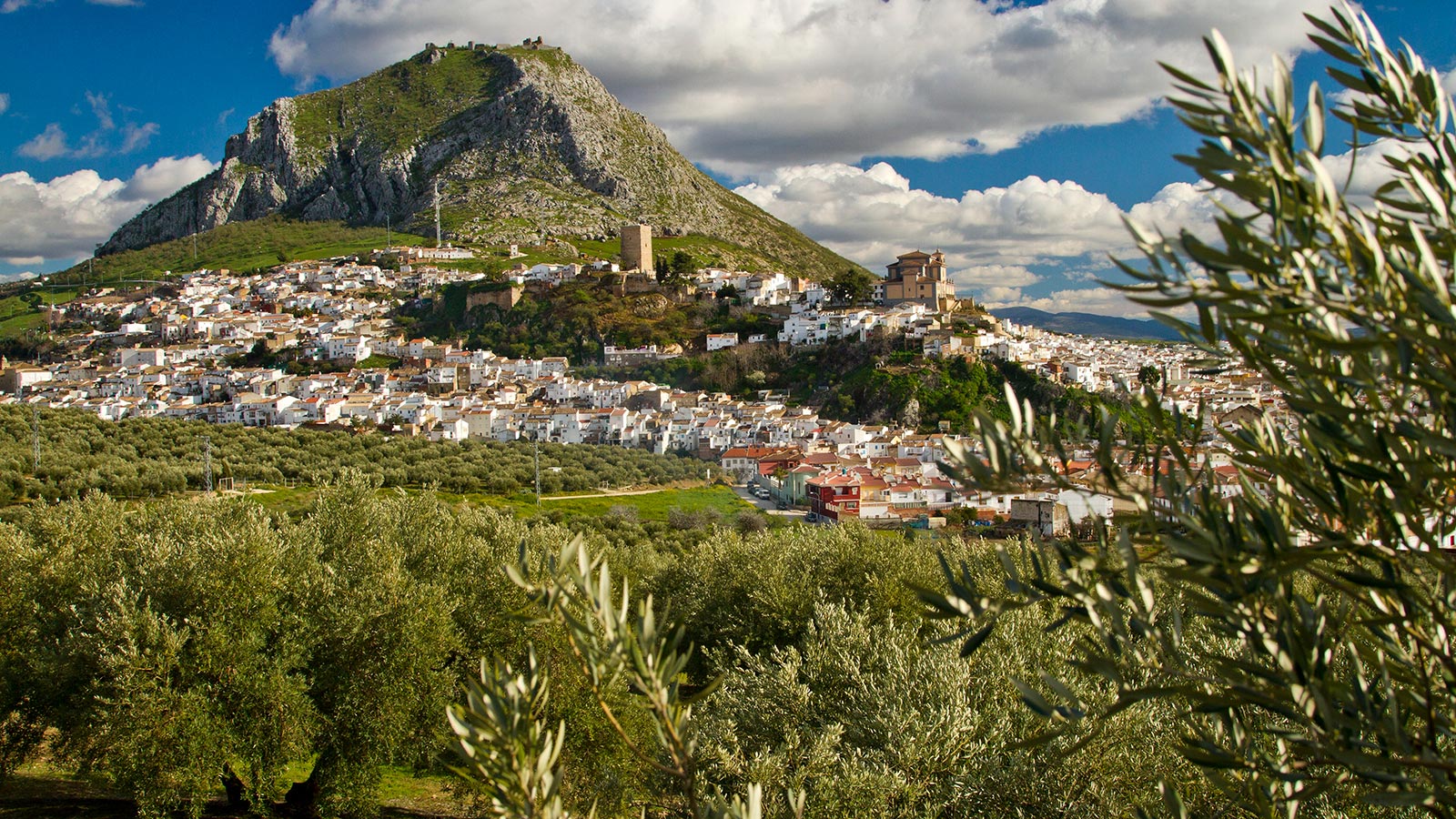 Campiña Sur