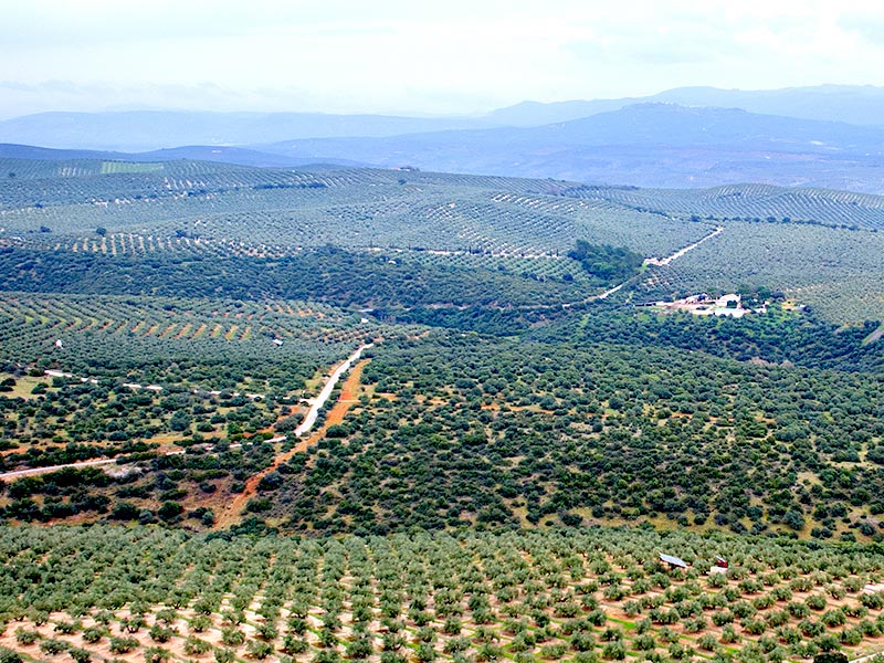 Campiña Norte
