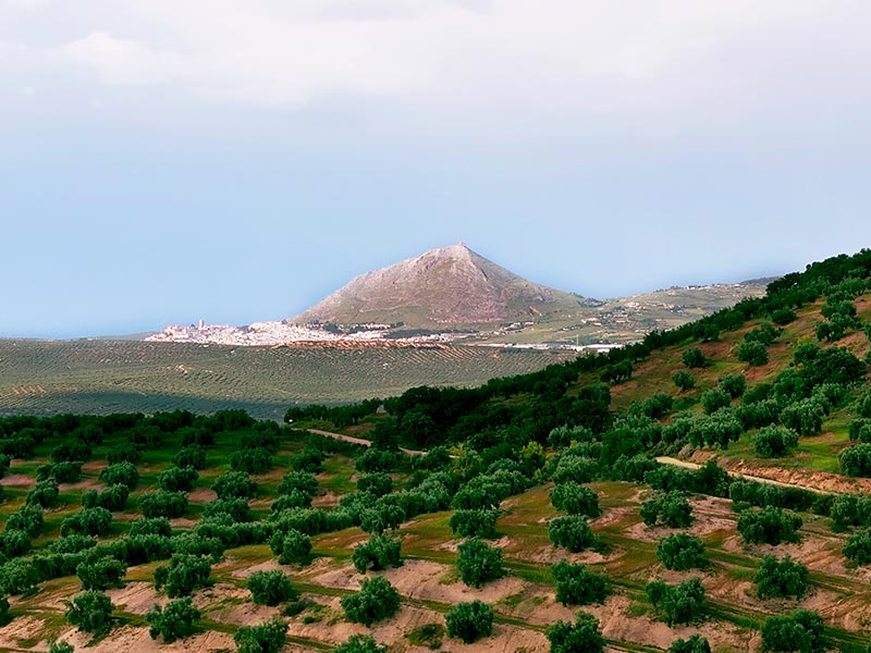 Campiña Sur